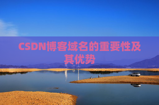 CSDN博客域名的重要性及其优势